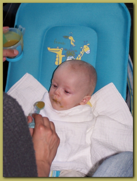 449x598 pixels (176K)